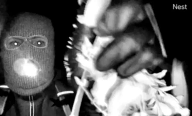 Enlèvement de la mère de Savannah Guthrie : une personne interpellée après diffusion d'images par le FBI