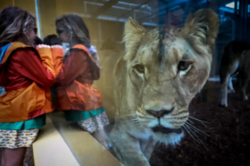 Intempéries en Gironde : les zoos de Pessac et du Bassin d'Arcachon contraints à la fermeture