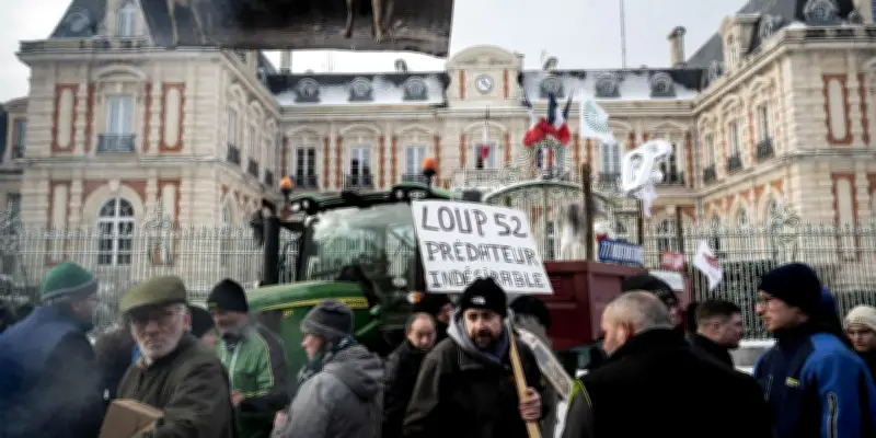Le loup retiré de la liste des espèces protégées, le plafond d'abattage relevé à 21%