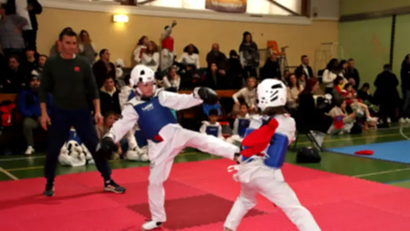 L'Open de Taekwondo de Gignac réunit 200 jeunes compétiteurs en Occitanie