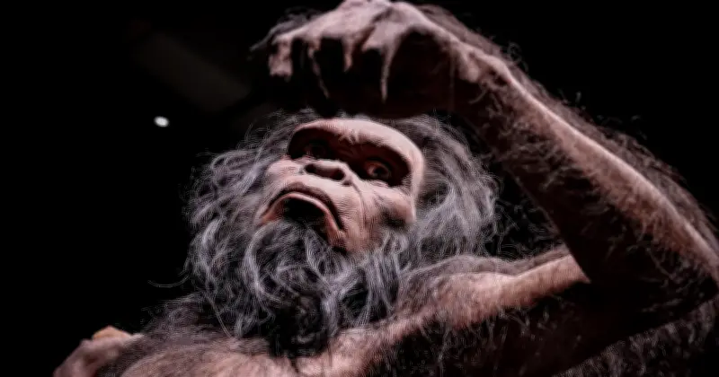 L'origine de l'humanité : le débat entre Afrique et Eurasie s'intensifie