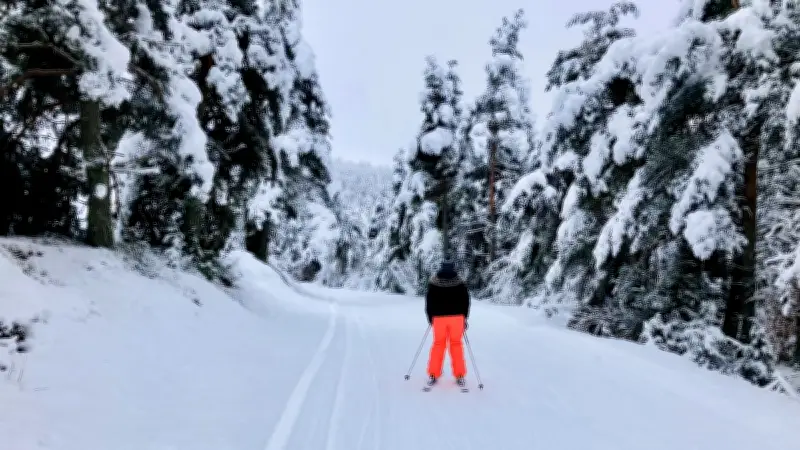 Mont Lozère : Fermeture Temporaire du Domaine Alpin en Raison des Pluies