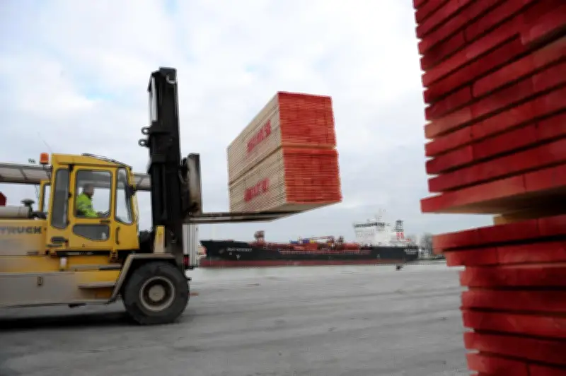 Port de Rochefort-Tonnay-Charente : le trafic 2025 en hausse grâce à Tonnay