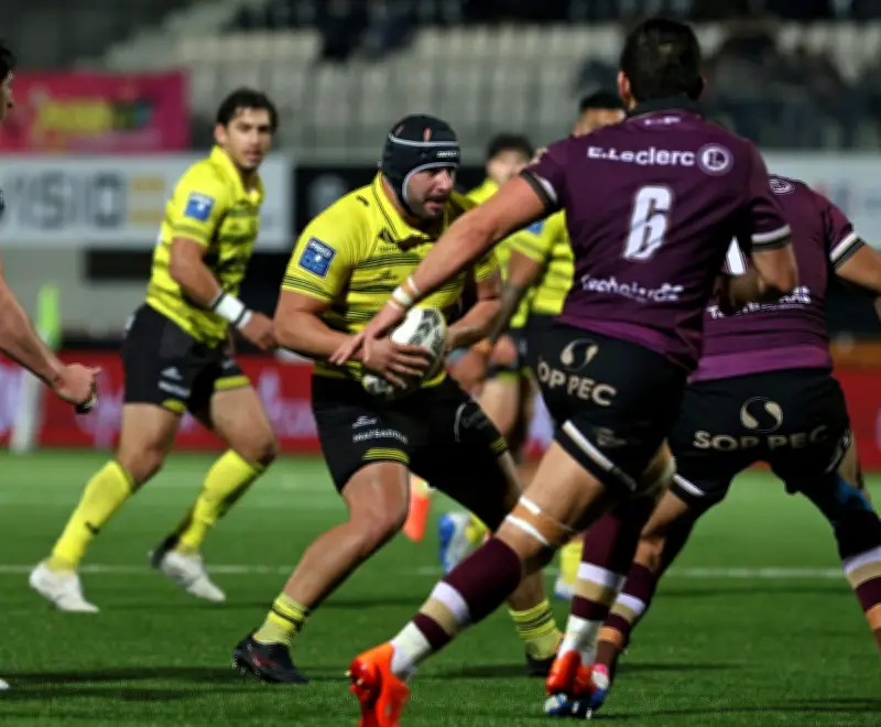 Stade Montois : Goginava prolonge, Chachanidze absent pour Angoulême