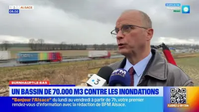 Alsace : un bassin anti-inondations et une population de blaireaux en hausse