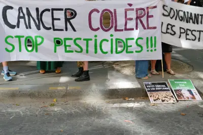 Cancer instrumentalisé : comment la peur remplace la science dans le débat public