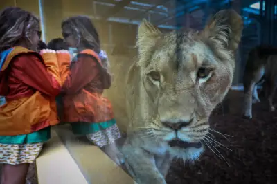 Intempéries en Gironde : les zoos de Pessac et du Bassin d'Arcachon contraints à la fermeture