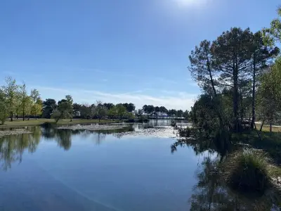 Journées Zones Humides : Le Médoc Dévoile ses Trésors Naturels par des Balades Gratuites