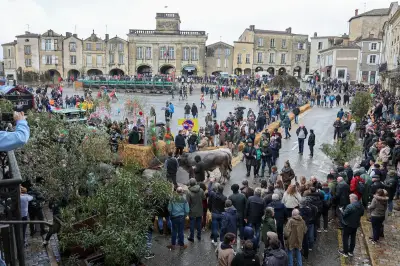 La Fête des bœufs gras de Bazas 2026 maintenue malgré tempête et maladie animale