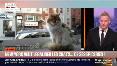 Le break du mercredi 11 février : actualités sportives, Epstein et IA en vedette