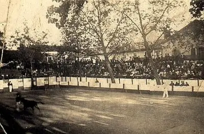 Le club taurin Cape et corde relance la course landaise à Magescq le 1er mars