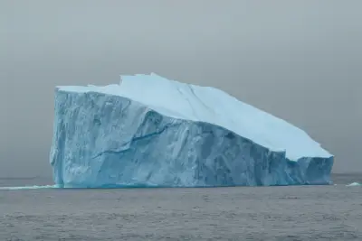 L'IA cartographie l'arbre généalogique des icebergs pour affiner les modèles climatiques