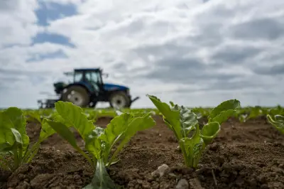Loi Duplomb et pesticides : Christian Lannou de l'Inrae souligne les alternatives à l'acétamipride