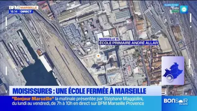 Moisissures à Marseille : fermeture de l'école primaire André Allar pour raisons sanitaires