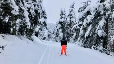 Mont Lozère : Fermeture Temporaire du Domaine Alpin en Raison des Pluies
