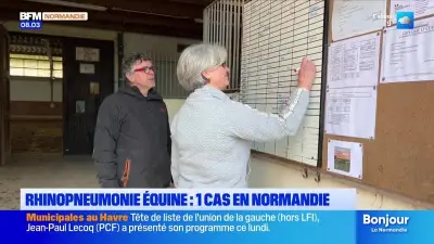 Normandie : Rhinopneumonie équine, viol et expansion maritime au menu de l'actualité