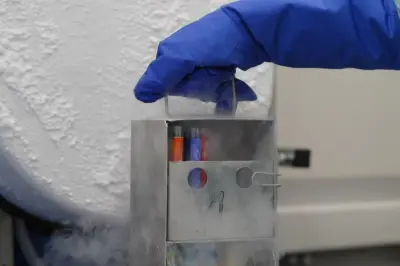 Plan contre l'infertilité : les absences notables dans le message aux Français de 29 ans