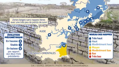 Pluies exceptionnelles rechargent les nappes phréatiques mais inquiètent les agriculteurs