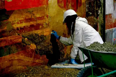 Pompéi : la villa de Poppée révèle de nouveaux trésors archéologiques au public