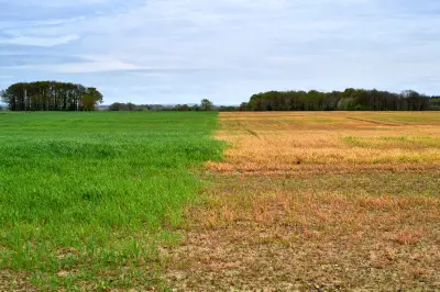 Proposition de loi pour interdire le cadmium et réduire les risques sanitaires