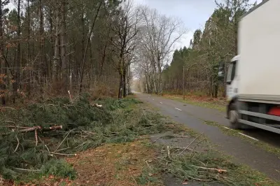 Tempête Nils dans les Landes : dégâts matériels et coupures d'électricité massives