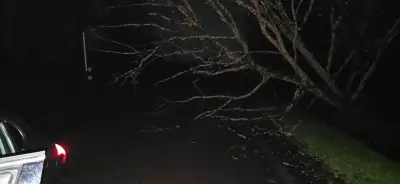 Tempête Nils dans les Landes : un mort et des dégâts importants, la prudence reste de mise