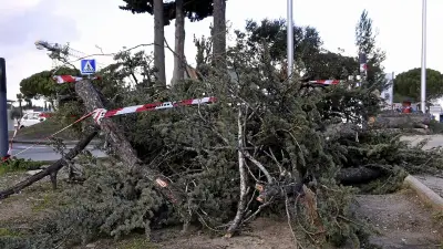Tempête Nils : records de vent à 180 km/h en Occitanie, bilan humain et perturbations majeures