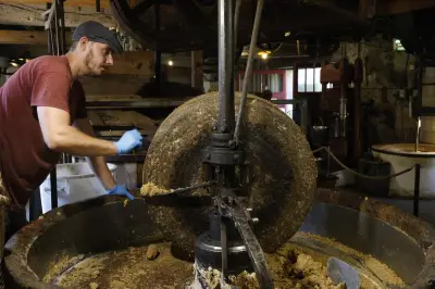 Trois nouveaux joyaux rejoignent les Grands Sites du Périgord, portant le réseau à 20 membres