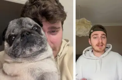 Un influenceur simule l'enlèvement de son chien, suscitant la colère des associations