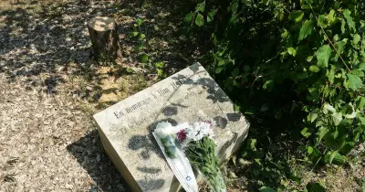 Un olivier pour Ilan Halimi planté à Saint-Rémy-de-Provence contre l'oubli