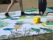 Branne : Un Jeu de l'Oie Géant sur les Contes à la Médiathèque Jusqu'au 4 Mars