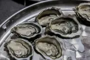 Concours Agricole 2026 : Les Huîtres de Charente-Maritime Brillent avec Douze Médailles
