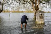 Crue de la Charente : l'onde de marée aggrave les inondations à Saint-Savinien et Taillebourg