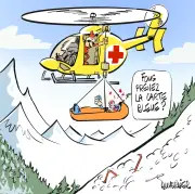 Faut-il faire payer les secours en montagne ? La Cour des comptes préconise un remboursement