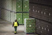 Heineken annonce la suppression de 5 000 à 6 000 emplois d'ici 2028