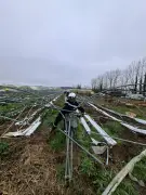 Inondations en Lot-et-Garonne : 100 secours mobilisés pour les agriculteurs sinistrés