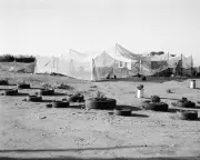 Jo Ratcliffe au Jeu de Paume : un regard perçant sur l'apartheid sud-africain