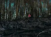 Justa de Teresa Villaverde : une plongée dans les douleurs de l'incendie