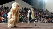 Le festival Hartzaro d'Ustaritz clôture sa saison par un carnaval forestier