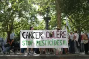 Le gouvernement hésite sur la réintroduction d'un pesticide controversé