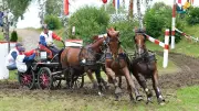 Le Printemps de l'Attelage revient au Haras national d'Uzès pour une édition spectaculaire