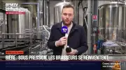 Les Brasseurs Français Innovent Face à la Baisse de la Consommation de Bière