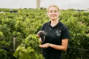 Les Compagnons du Devoir forment aux métiers du vin en alternance avec tour de France