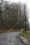 Lot-et-Garonne : interdiction d'accès aux forêts après la tempête Nils