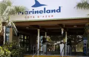Marineland d'Antibes : une décision définitive sur le sort des cétacés d'ici mars 2026