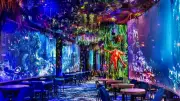 Montpellier : Under The Sea, un restaurant immersif aux fonds marins ouvre à Odysseum
