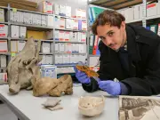 Morlaàs mobilise ses habitants pour enrichir et valoriser son patrimoine local