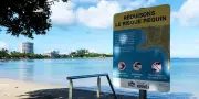 Nouvelle-Calédonie : un médecin tué par un requin en pratiquant le wing foil à Nouméa