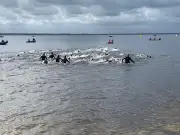 Osez Hourtin 2026 : une traversée écoresponsable au lac d'Hourtin