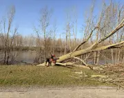 Plaine de la Filhole fermée : un désastre écologique après les intempéries